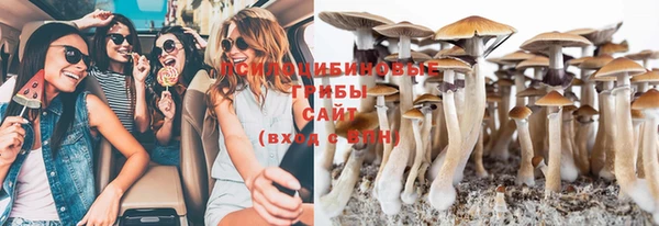 стаф Абдулино