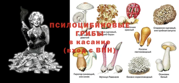 стаф Абдулино