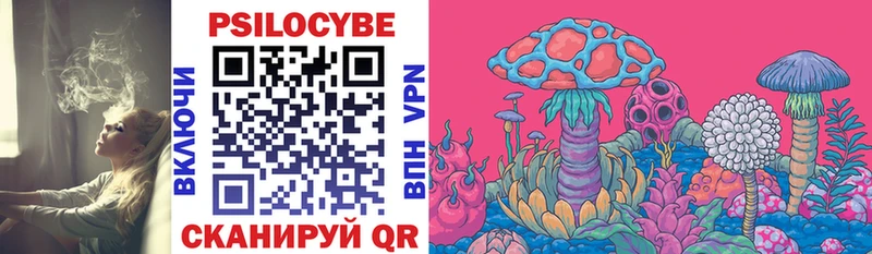 shop какой сайт  Агрыз  Галлюциногенные грибы мухоморы 